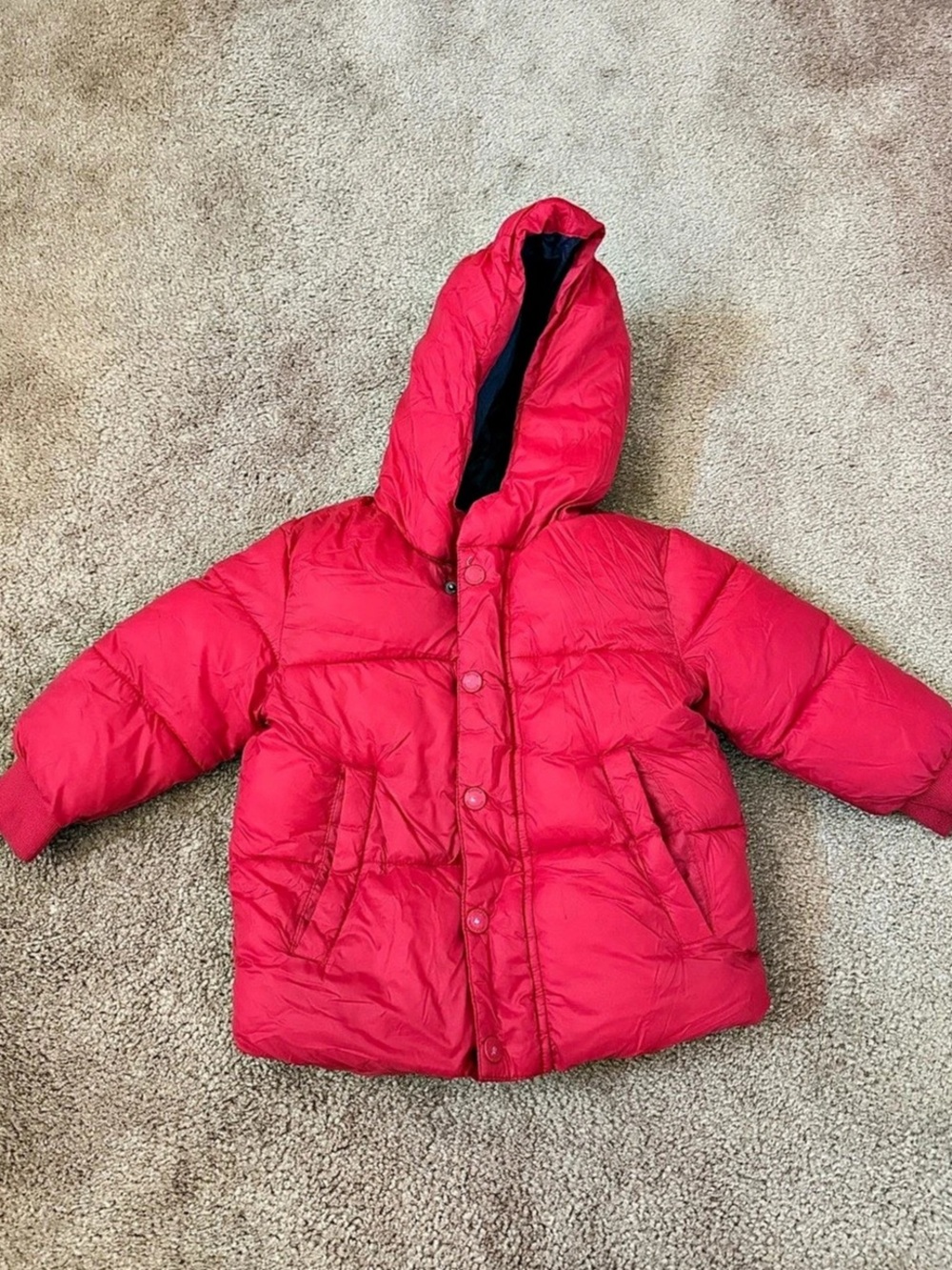 Zara BabyBoy Puffer Jacket - Toddler size 18-24M